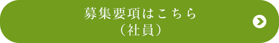 募集要項はこちら （社員）